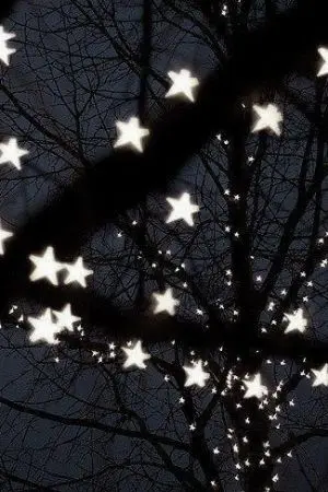 ปกนิยาย TWST | 小さな星 [oc]