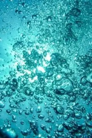 ปกนิยาย [Kuroko No Basket]ครับ? คุณไม่รู้หรอ?