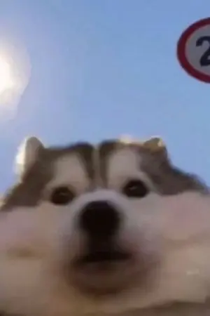 ปกนิยาย beast tamer ผู้ฝึกสัตว์อสูร (กำลังrewrite)