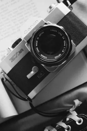 ปกนิยาย Harry potter and childhood friend