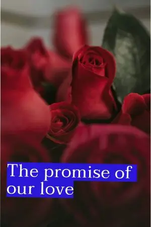 ปกนิยาย The promise of our love