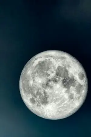 ปกนิยาย นางฟ้าไซส์(s)