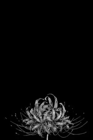 ปกนิยาย [Fic Tokyo Revengeger]เกิดใหม่เป็นน้องสาวของวาคาสะ