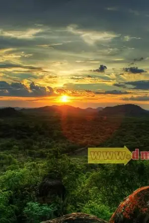 ปกนิยาย ตามล่าขุนทรัพย์สุดปลายฟ้า