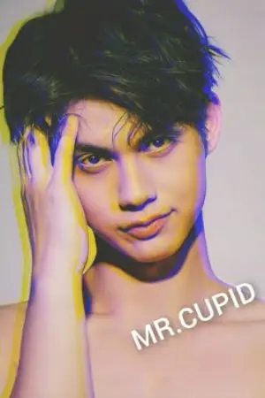 ปกนิยาย MR.CUPID