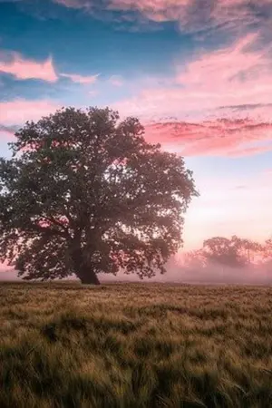 ปกนิยาย ทะลุมิติตะลุยแดนปีศาจ พาตัวเองกลับบ้าน