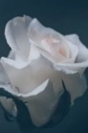 ปกนิยาย ฤดูหนาวที่รอคอย