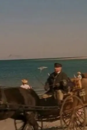 ปกนิยาย ขอให้ความสุขของเขาเป็นดั่งผีเสื้อ