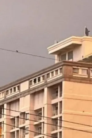 ปกนิยาย เดินมาพร้อมบินไปกับฉัน