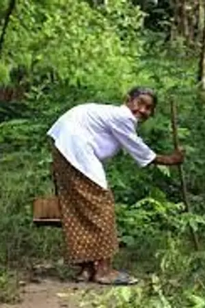 ปกนิยาย มะม่วงต้นสุดท้าย