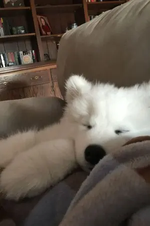 ปกนิยาย Akin ; jaedo