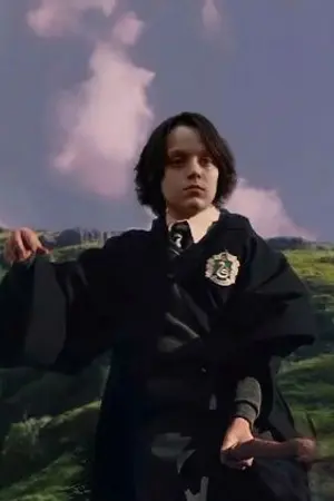 ปกนิยาย [Fic Harry potter] Lily wither ชีวิตที่สองในโลกคู่ขนาน [Allss]