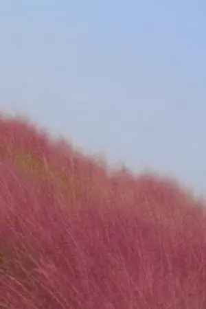 ปกนิยาย เรื่องผีๆ1