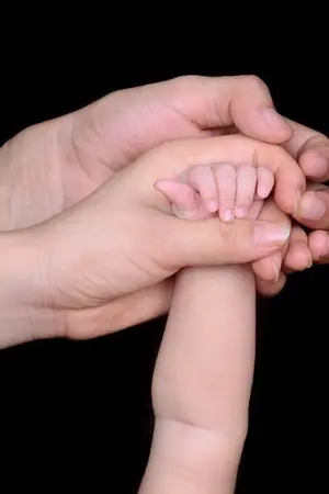 ปกนิยาย พ่ายรักดาวเหนือ