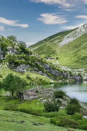 ปกนิยาย แรงรัก