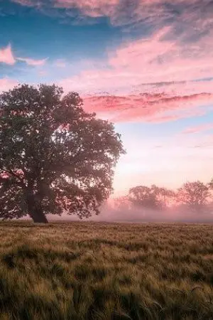 ปกนิยาย ทิ้งโลกเก่า เข้าสู่โลกใหม่