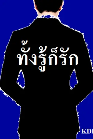 ปกนิยาย