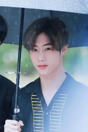 ปกนิยาย ถ้าหากรัก markbam