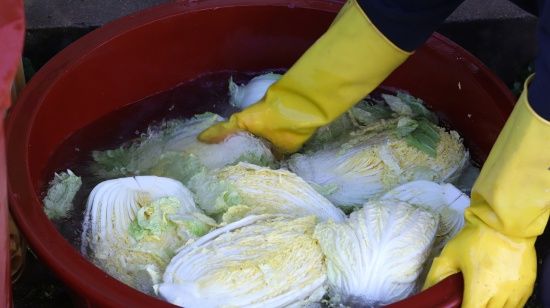 Photo  Credit:  pixabay.com