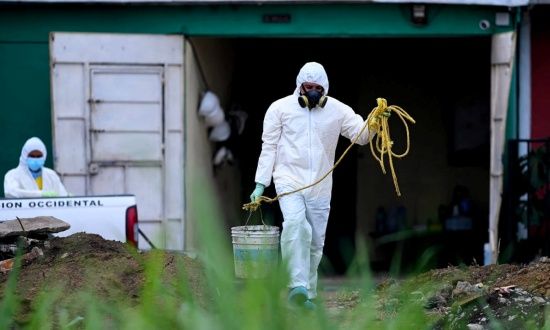 Photo  Credit:  www.theguardian.com