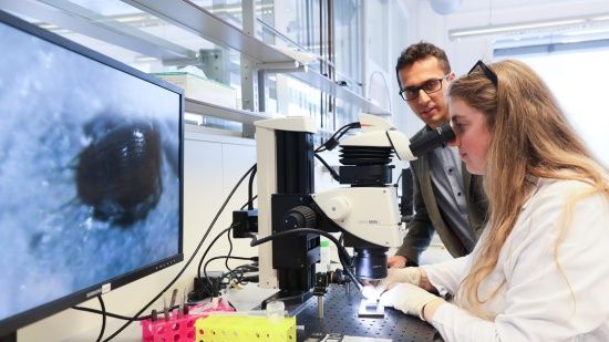 Photo  Credit:  www.epfl.ch