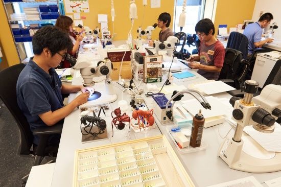 Photo  Credit:  web.facebook.com/oistedu