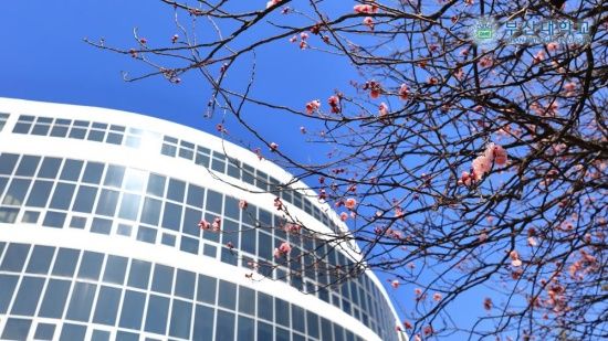 Photo  Credit:  www.pusan.ac.kr