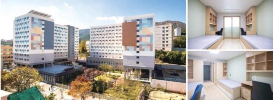 Photo  Credit:  https://lei.pusan.ac.kr/leieng/56444/subview.do