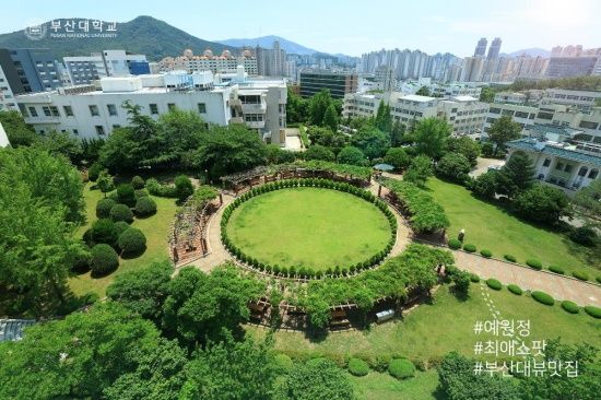 Photo  Credit:  www.facebook.com/PusanNationalUniv