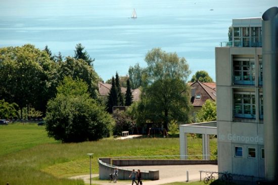 Photo  Credit: unil.ch