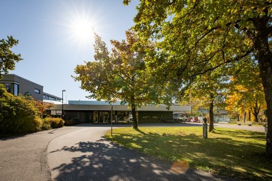 Photo Credit: https://imprs-ls.opencampus.net/