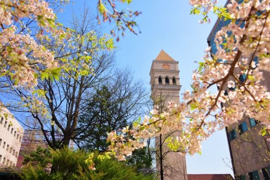 Photo Credit: Cie Sejong (Korean Language Program)