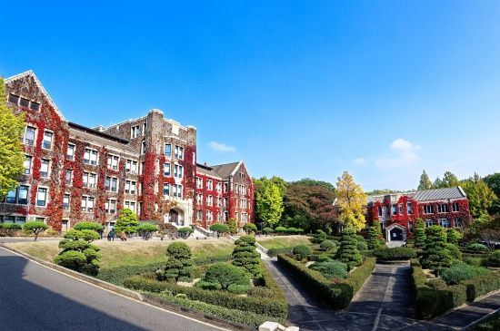 Photo  Credit:  Yonsei University Global