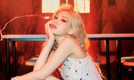 Photo  Credit:  THE BLACK LABEL