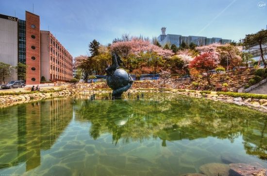 Photo  Credit: 중앙대학교(Chung Ang University, CAU)