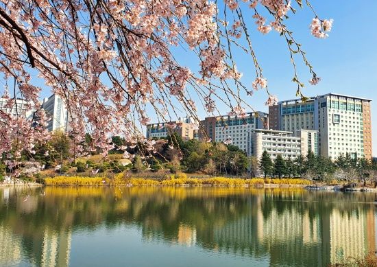 Photo  Credit:  student.konkuk.ac.kr