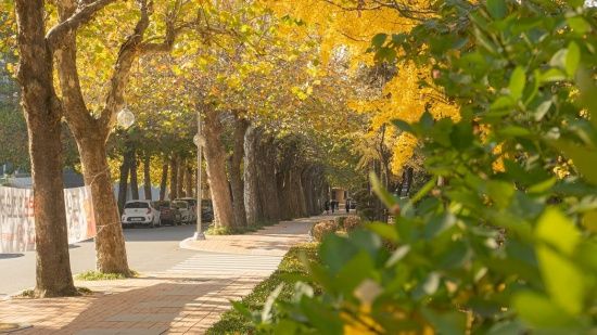 Photo  Credit: 인하대학교 - Inha University