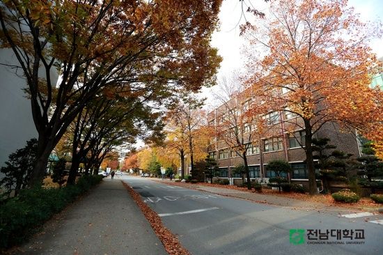 Photo  Credit:  전남대학교