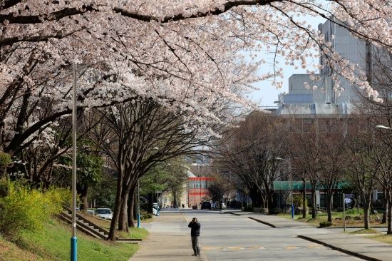 Photo  Credit:  전남대학교