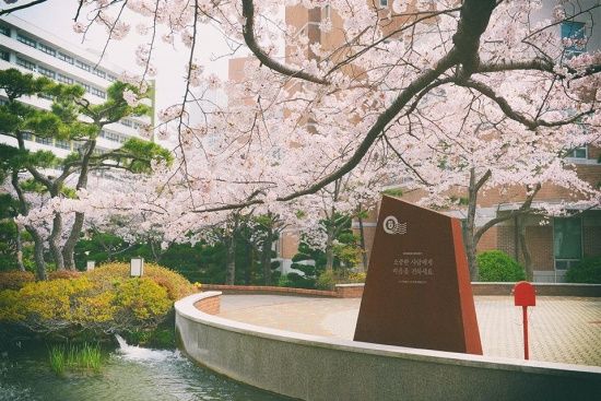 Photo  Credit:  경성대학교 Kyungsung University  (Facebook)