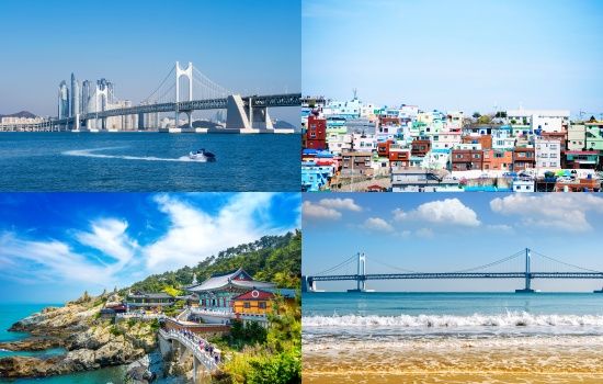 Photo  Credit:  www.freepik.com