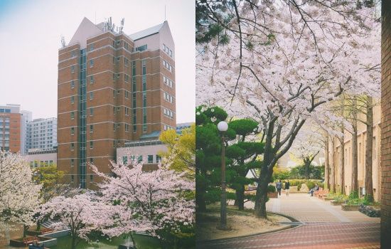 Photo  Credit:  경성대학교 Kyungsung University  (Facebook)