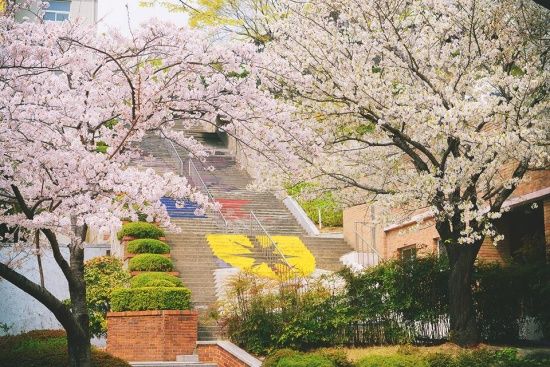 Photo  Credit:  경성대학교 Kyungsung University  (Facebook)