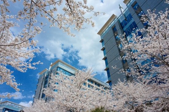 Photo  Credit:  UNIST  (Facebook Fan Page)