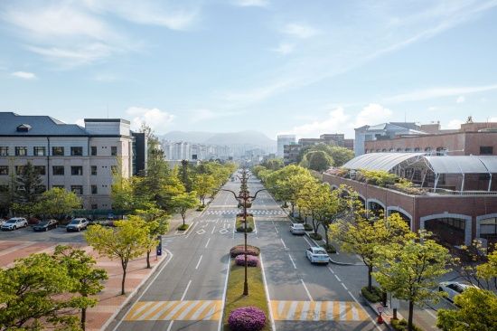 Photo  Credit:  Kangwon National University 江原大学