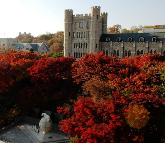 Photo  Credit:  Korea University  (Facebook)