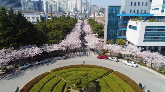 Photo  Credit:  국립부경대학교 PKNU  (Facebook)