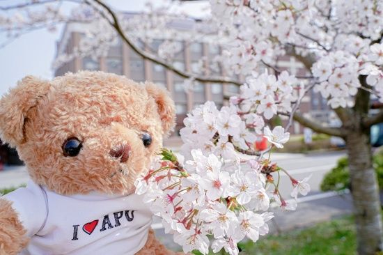 Photo  Credit:  Ritsumeikan Asia Pacific University