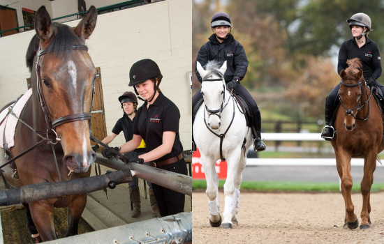 Photo  Credit:  Hartpury  (Facebook)