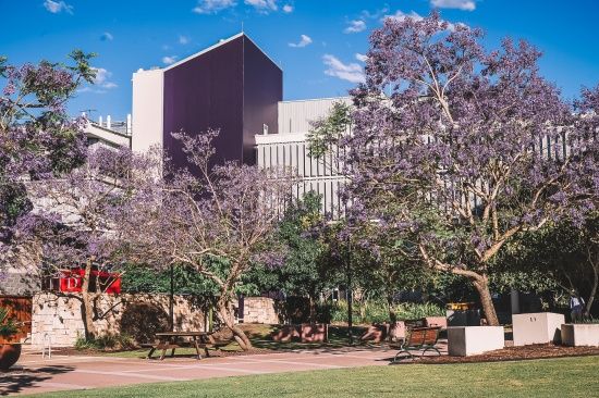 Photo  Credit:  University of Southern Queensland - Australia  (Facebook)